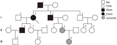 ITPR1 variant-induced autosomal dominant hereditary spastic paraplegia in a Chinese family